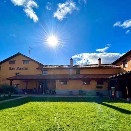 Los Reales Carrizo de la Ribera Exteriér fotografie